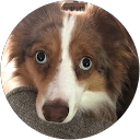 wade lepkowski profile picture