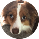 wade lepkowski profile picture