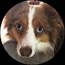 wade lepkowski profile picture