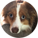 wade lepkowski profile picture