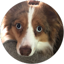 wade lepkowski profile picture